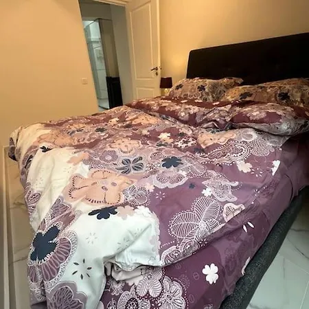 Apartment Cozy In Center